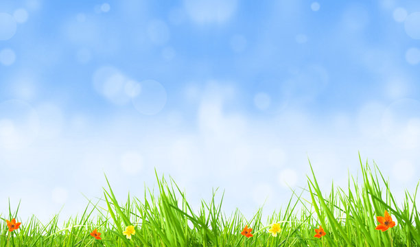Fresh spring background with blurred blue sky
