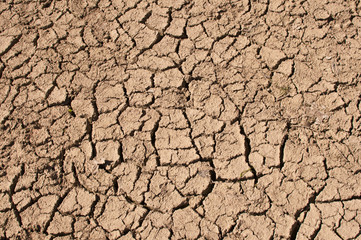 Dry Earth