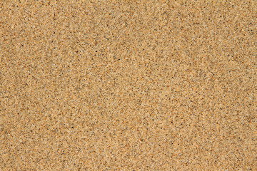 The Beach