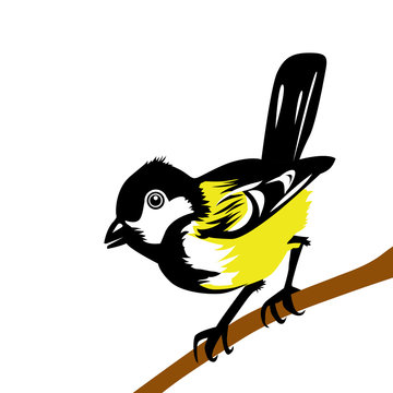 recommend clip art: drawing tomtit on white background