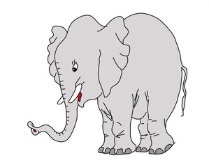 drawing elephant on white background