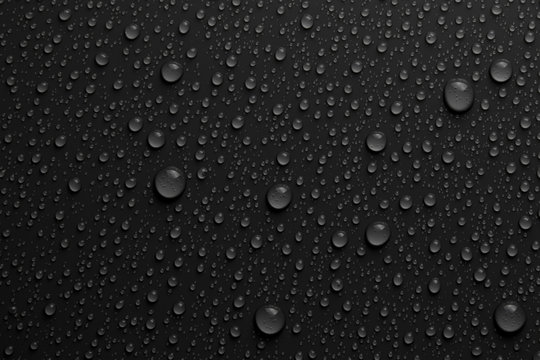 water drops on black .