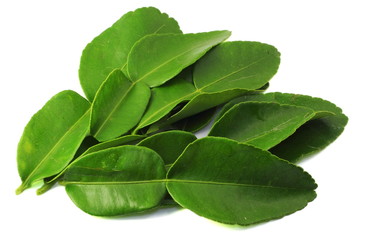 Kaffir lime leaves