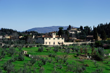 Tuscan landscape with typical house and olive trees