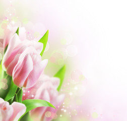 Tulips Spring floral design