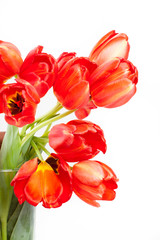 Tulpen Blumenstrauß Muttertag