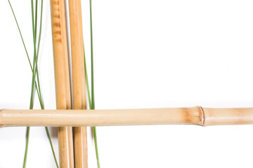 Bamboo