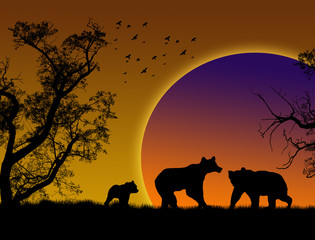 Obraz na płótnie Canvas Bears on sunset