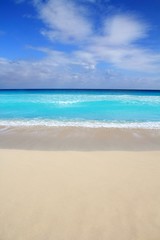 Fototapeta na wymiar beach tropical vertical Caribbean turquoise sea