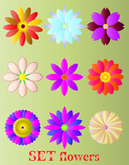 set of flowers