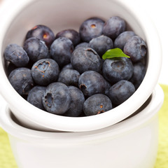 fresh blueberries