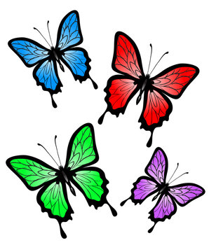 Set of abstract vector big colorful butterfly
