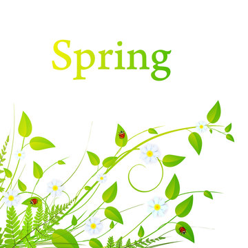 spring floral frame