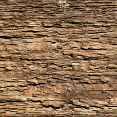 Wooden texture