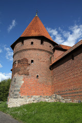 Obraz premium Medieval castle in Malbork, Poland
