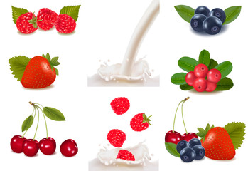 Group of berries fruits falling into the milk splash.