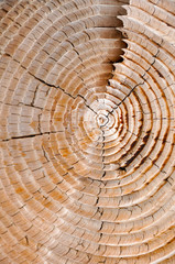 Naklejka premium Trink