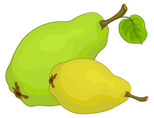 Fruit, pears