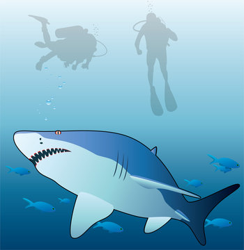 vector illustration of shark, tropical fishes and scuba divers