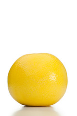 Grapefruit