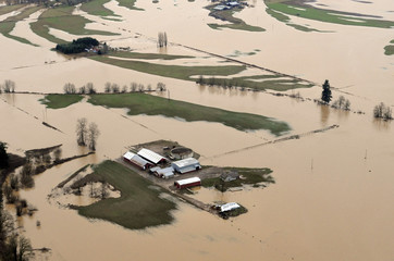 Washington State Flood