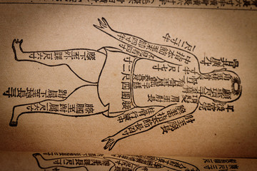 Chinese medical books