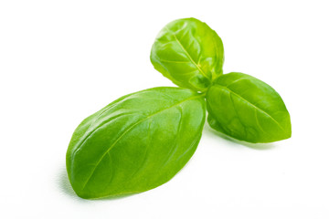 Basilikumblätter