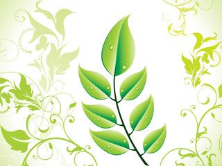 abstract green eco leaf