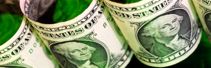 one dollar © fotomaster