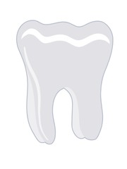 Tooth. Vector