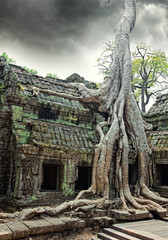 temple of Ta Prohm in Angkor Wat