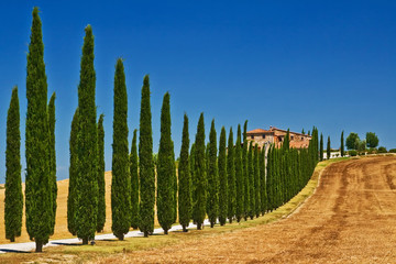Tuscany farm view in the summer