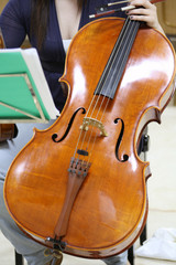 Violoncello