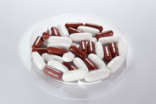 Tabletten in Petrischale.