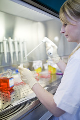 portrait of a female researcher doing research in a lab