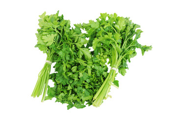 Chopped parsley Isolated on the white background