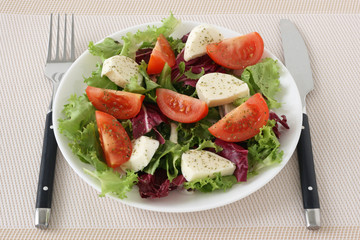 Salad with cheese mozzarella