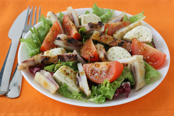 Salad with cheese mozzarella and octopus