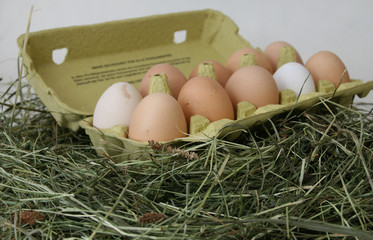 Eier im Karton