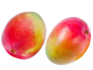 Mango isolated on white background