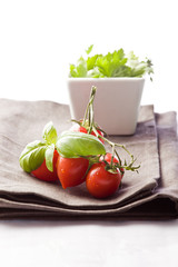 Pomodori e Prezzemolo su sfondo bianco 2