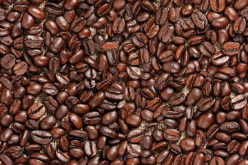 Seamless texture of coffee beans on sacking