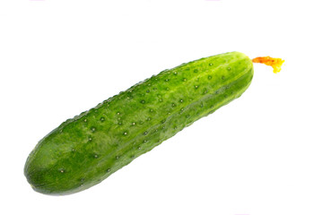 cucumber green on a white background