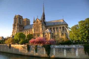 Fototapete Rund Paris (Frankreich) - Kathedrale Notre-Dame © XtravaganT