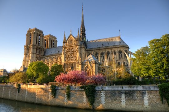 Fototapeta Paris (France) - Notre Dame Cathedral