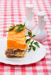 Food - tasty  course - baked pudding of potatoes