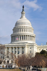 Fototapeta na wymiar Washington DC United States Capitol in Winter