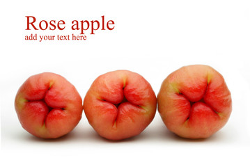 Rose apple