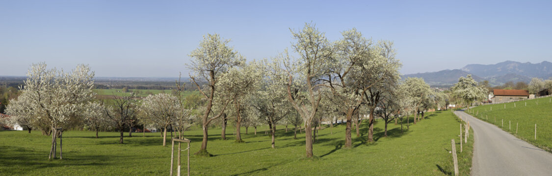 fr&uuml;hling in bayern