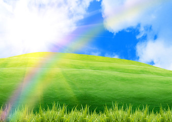 Fototapeta na wymiar Rainbow in the blue sky over a glade